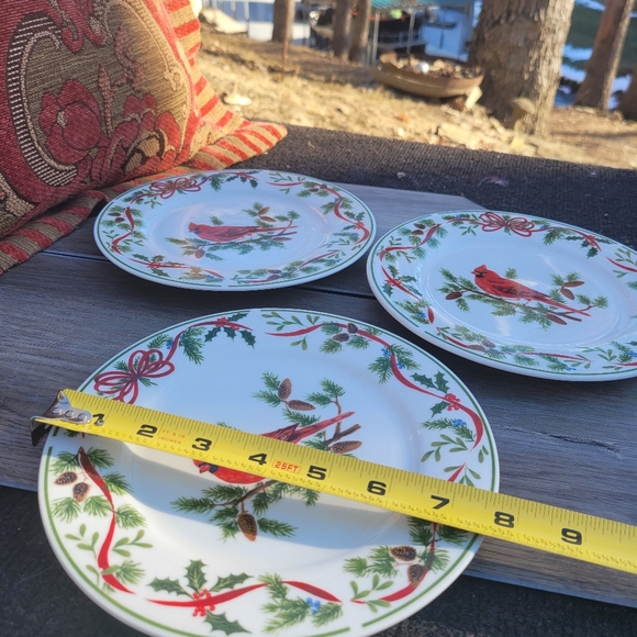 American Atelier Cardinal Salad Plates - Picture 5 of 5